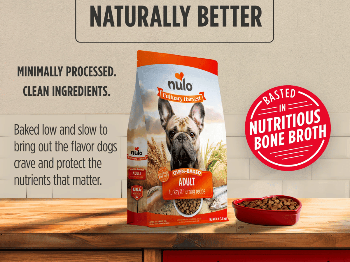 Nulo — Free Culinary Harvest Turkey & Herring Kibble Sample