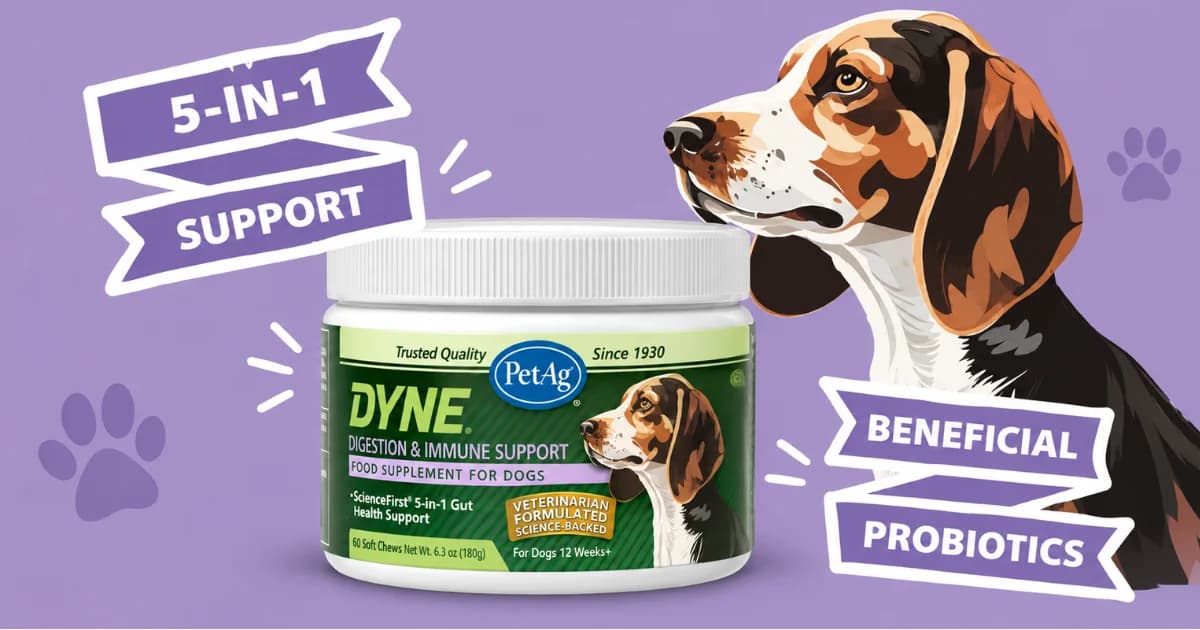 PetAg DYNE — Free Digestion & Immune Support Sample