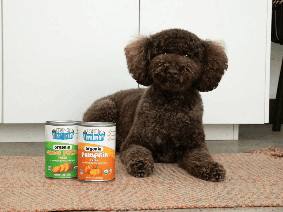 Nummy Tum-Tum — Free Welcome Box for Pet Ambassadors