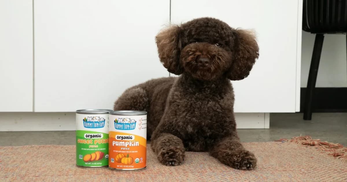 Nummy Tum-Tum — Free Pet Ambassador Welcome Box