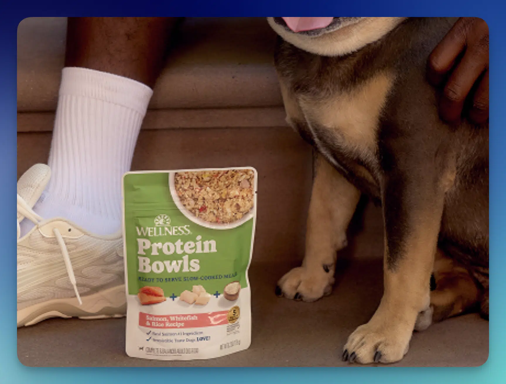 Wellness — Free Protein Bowls Dog Food Sample
