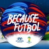 FREE 2014 FIFA World Cup Team Clings 2014 fifa world cup team clings