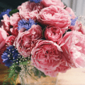 bouqs flowers