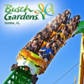 busch gardens