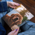 canvas people poster print