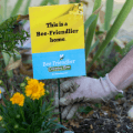 cascadian farm wildflower seeds