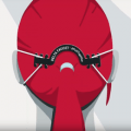 delta faucet ear savers