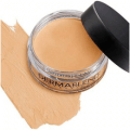 dermablend professional foundation