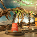 dinosaur museum