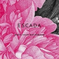 escada notebook