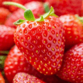 fresh strawberries