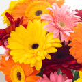 from you flowers