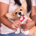 hartz dog treats