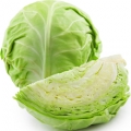 head of cabbage
