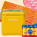 igloo summer cooler