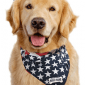 milk bone bandana