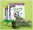 minties dog treats