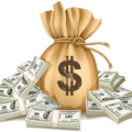 money bag