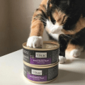 natures logic cat food