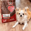 FREE 1lb Bag of Nature's Logic Dog Food (Printable Coupon) natures logic dog food