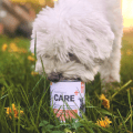 nutrience care dog food