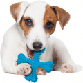 nylabone power chew bone