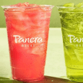 panera bread drinks