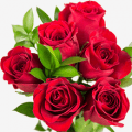 red roses half dozen