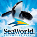 seaworld logo