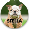 shutterfly pet tags