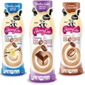 skinny cow iced coffee