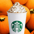 starbucks pumpkin spice latte drink