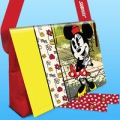 subway disney messenger bag