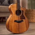 taylor guitar