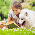 td bank summer reading program