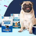 vetnique labs dog food