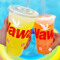 wawa fountain drink
