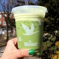 wawa matcha beverage