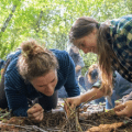 History ''Alone'' Sweepstakes wilderness survival training