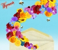 FREE Pack of Wyman's Wildflower Seeds wymans wildflower seeds