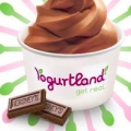 Yogurtland: FREE Frozen Yogurt & Toppings (February 2) yogurtland logo