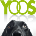 yoos dog collar