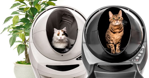 litter robot keeps stopping